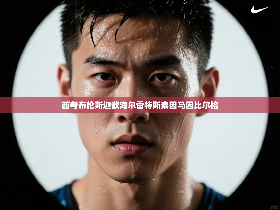 西考布伦斯迎敌海尔雷特斯泰因马因比尔格 第1张